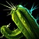 Windshear Cactus Seed