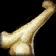 Ancient Vrykul Bone