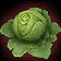 Green Cabbage