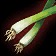 Scallions